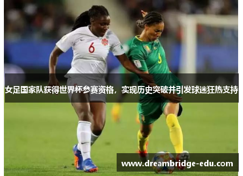 女足国家队获得世界杯参赛资格，实现历史突破并引发球迷狂热支持