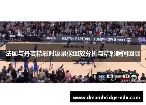 法国与丹麦精彩对决录像回放分析与精彩瞬间回顾